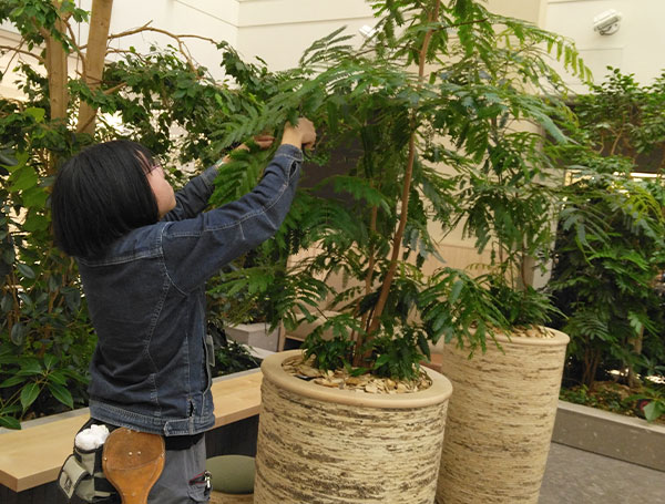 造園総合職イメージ写真