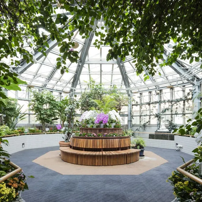 横山造園のグリーンサービスについて