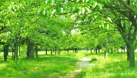 施工についてモバイル