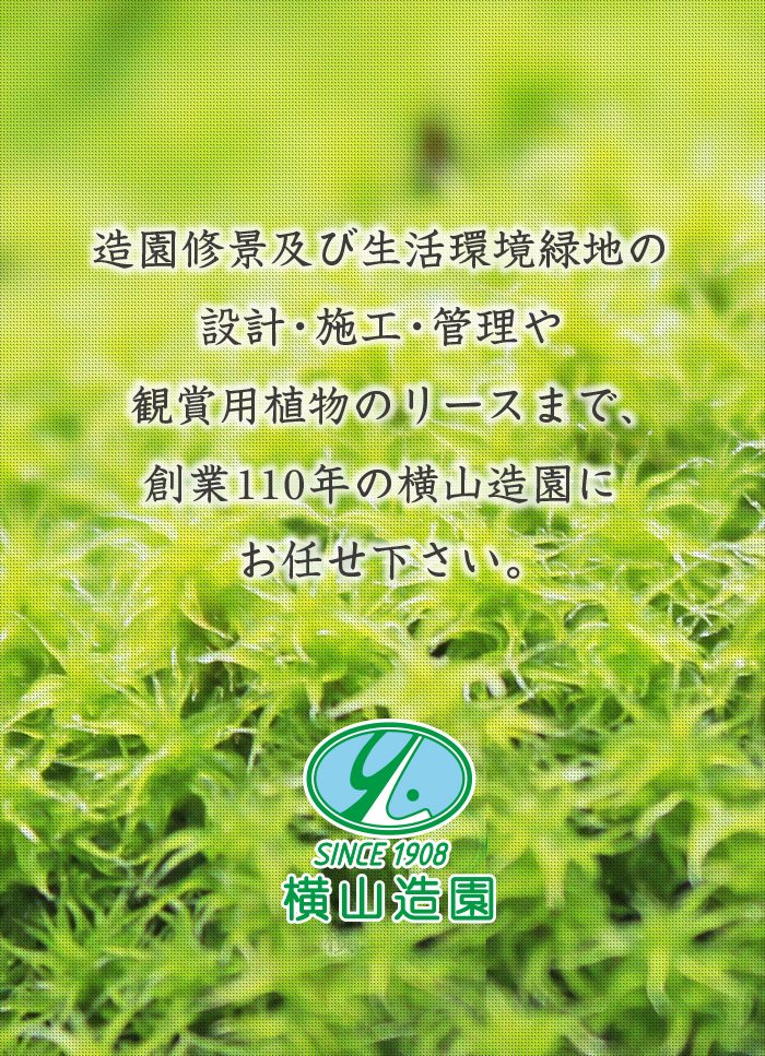 造園修景及び生活環境緑地の設計・施工・管理や