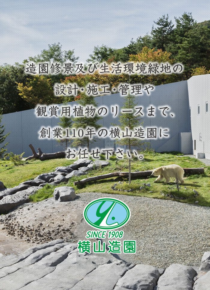 創業110年の