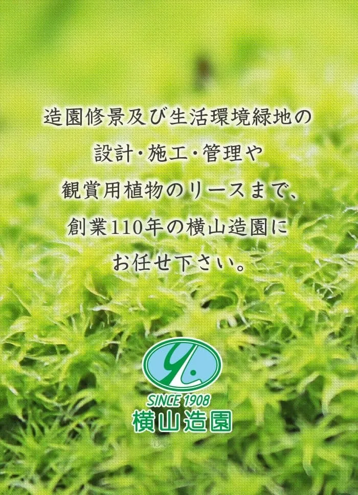 造園修景及び生活環境緑地の設計・施工・管理や