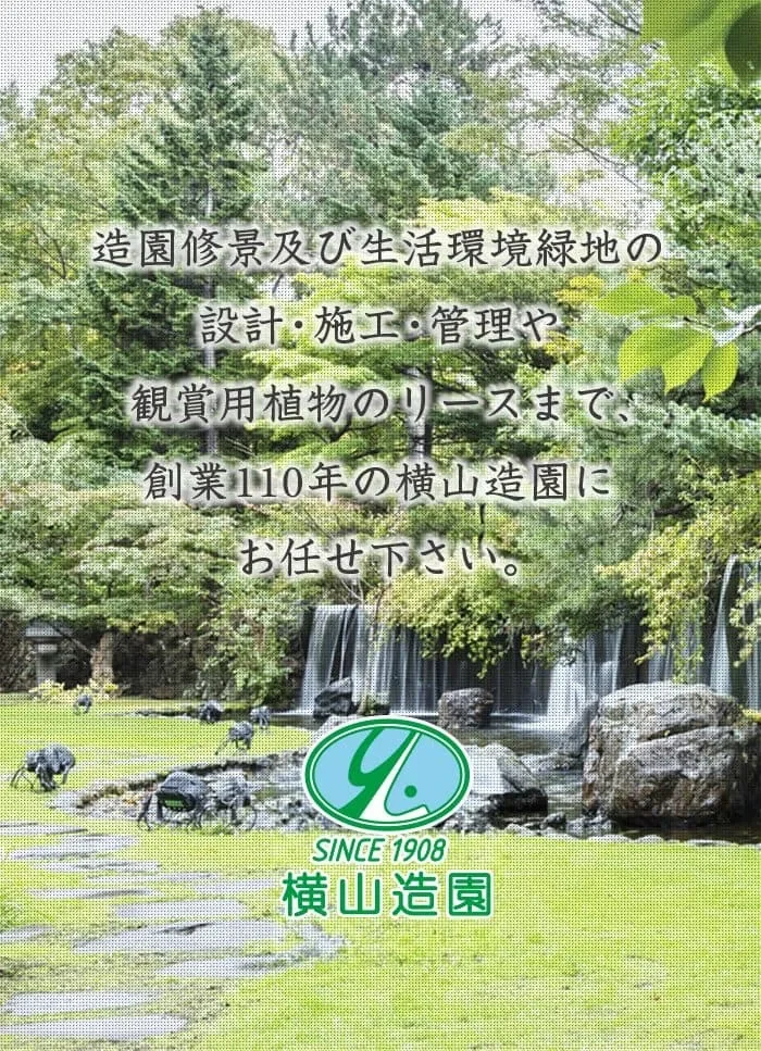 鑑賞用植物のリースまで