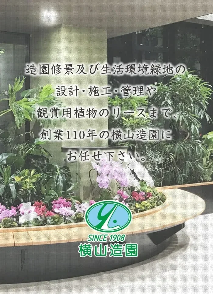 横山造園にお任せ下さい。